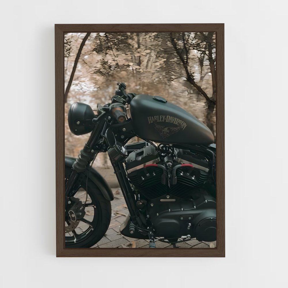 Poster Asphalt Rider – affiche Harley-Davidson (vue 5)